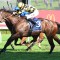 Remarque flies in Concorde Stakes as Nature Strip retired