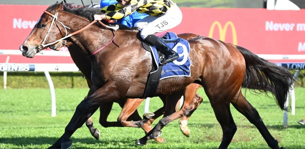 Remarque flies in Concorde Stakes as Nature Strip retired