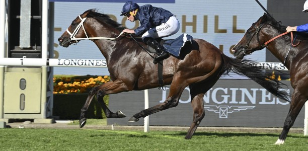 Golden Rose lead-up for The Everest bound Shinzo