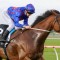 Globe heads odds to book a Cox Plate spot in the Feehan Stakes