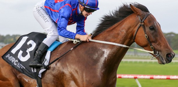 Globe heads odds to book a Cox Plate spot in the Feehan Stakes