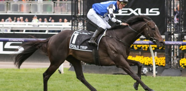Gold Trip a likely Moonee Valley runner