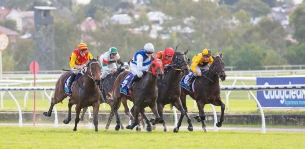 Kalgoorlie galloper exceeds expectations