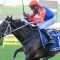 $1m The 7 Stakes a fork in the road for WFA star