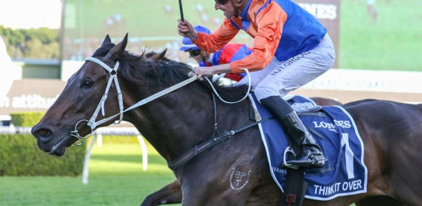 $1m The 7 Stakes a fork in the road for WFA star
