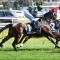 Spanish Mission set for Makybe Diva Stakes return