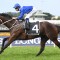 Winx’s half-sister poised to debut