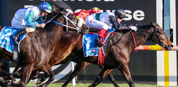 Makybe Diva Stakes Day is one of the early season markers of the Spring