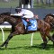 In-form filly heads odds in the Tea Rose Stakes