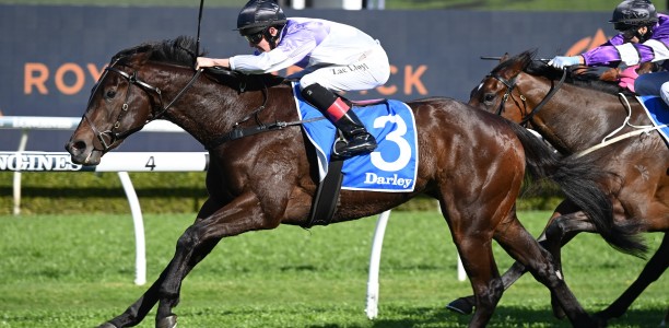 In-form filly heads odds in the Tea Rose Stakes