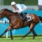 Montefilia heads early odds in the Kingston Town Stakes