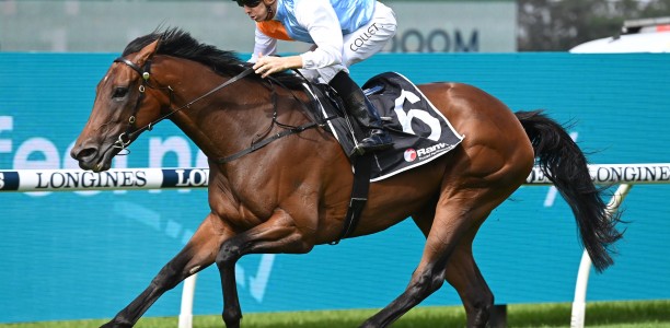 Montefilia heads early odds in the Kingston Town Stakes