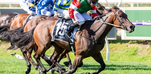 Amelia’s Jewel set for east coast debut