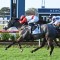 Gai Waterhouse wins another Newcastle Cup