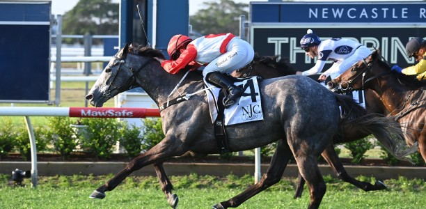 Gai Waterhouse wins another Newcastle Cup