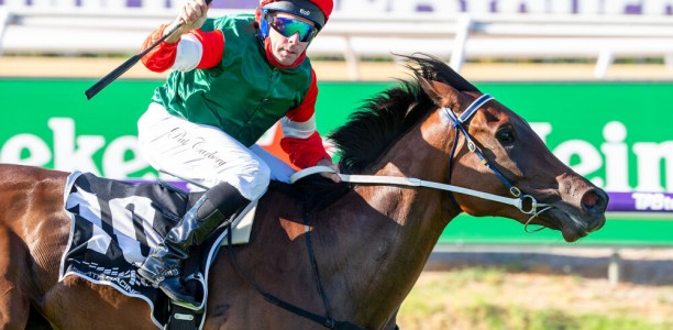 Amelia’s Jewel odds on for the Let’s Elope Stakes