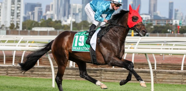 Bear Story sets sights on the Caulfield Cup