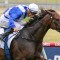 Alligator Blood heads odds in a quality Underwood Stakes field