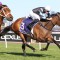 Sargent filly not Mist in Oaks contention