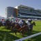 International St Leger Stakes at Headquarters