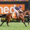 Griff gives Maher and Eustace first Caulfield Guineas win