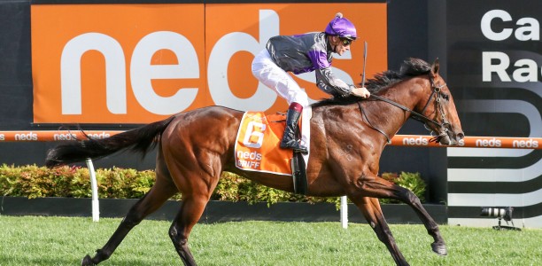 Ben Melham suspended after G1 success