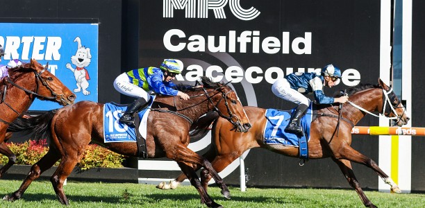 Caulfield Cup Likely Field – 2023