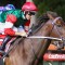 Amelia’s Jewel ruled out of the Cox Plate