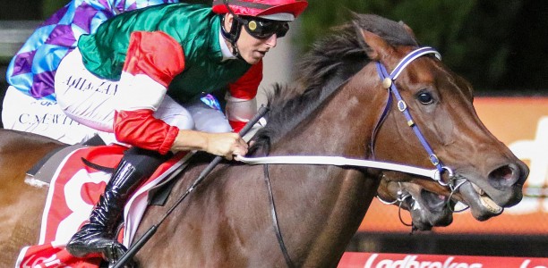 Amelia’s Jewel ruled out of the Cox Plate