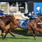 Quality packed racing set for Caulfield Cup day