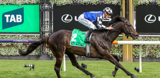 Gold Trip opens favourite for the Caulfield Cup