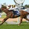 Matthew Dunn not worried about Big Dance misstep