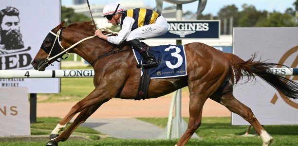 Matthew Dunn not worried about Big Dance misstep