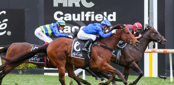 $300 winner and a $1.01 shot beaten at Caulfield