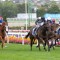 Cox Plate Likely Field – 2023