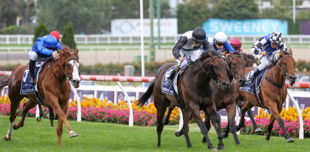 Cox Plate Likely Field – 2023