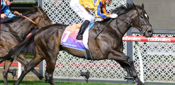 Few races are like the Cox Plate and a strong day of racing awaits