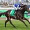 Two Cox Plate hopes for leading yard