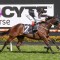First Immortal the heavily backed favourite in the Geelong Cup