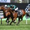 Star mare Espiona heads odds in The Invitation
