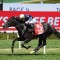 Adrian Bott can’t split Spring Champion Stakes contenders