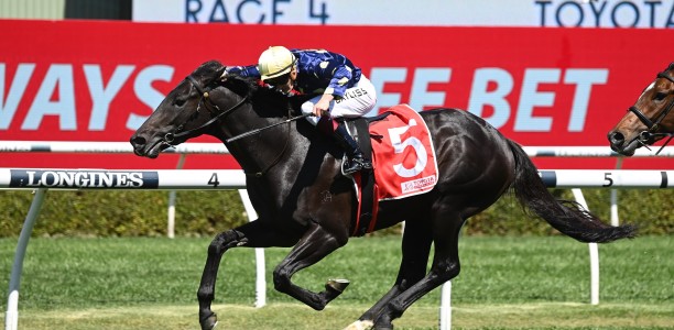 Adrian Bott can’t split Spring Champion Stakes contenders