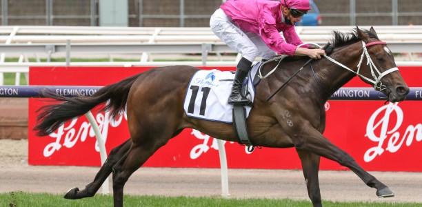 Chris Waller in line for more Cox Plate success