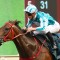 All Cox Plate horses passed fit to line-up in field
