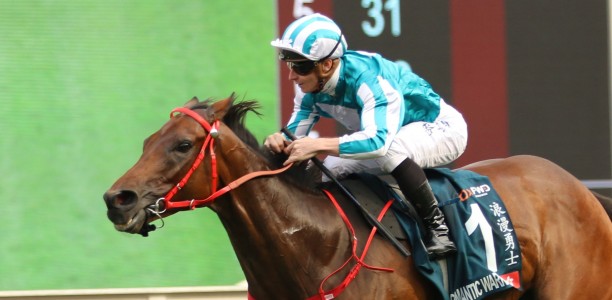 All Cox Plate horses passed fit to line-up in field