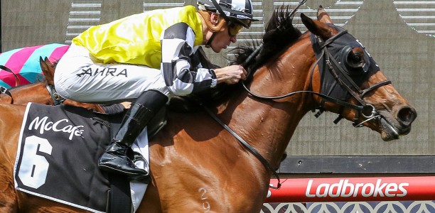 Kiwi’s Valley Prowess Crystal clear