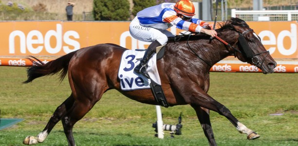 Veight humming ahead of Coolmore Stud Stakes