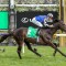 Melbourne Cup field order of entry – 2023