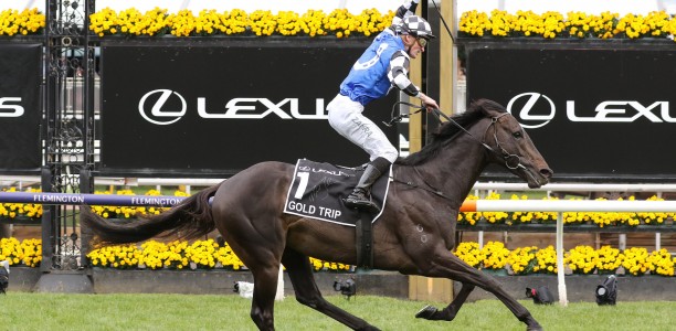 Bookmaker offering $20 Odds for Gold Trip or Ashrun to win the Melbourne Cup