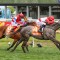 Military Mission to trial ahead of Melbourne Cup